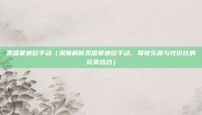 美国蒙迪欧手动（深度解析美国蒙迪欧手动，驾驶乐趣与性价比的完美结合）