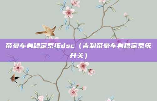帝豪车身稳定系统dsc(吉利帝豪车身稳定系统开关)