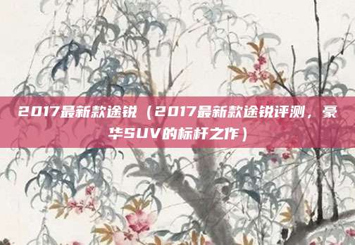 2017最新款途锐(2017最新款途锐评测,豪华SUV的标杆之作)