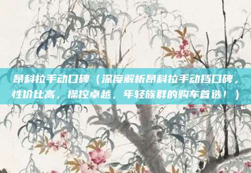 昂科拉手动口碑（深度解析昂科拉手动挡口碑，性价比高，操控卓越，年轻族群的购车首选！）