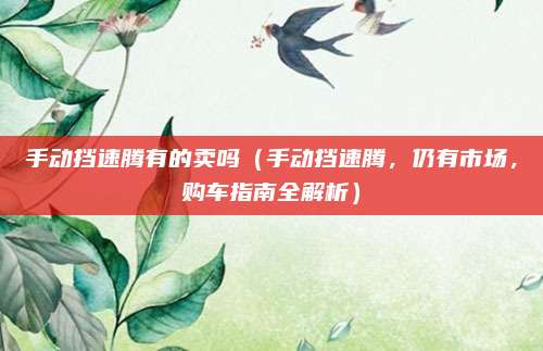 手动挡速腾有的卖吗（手动挡速腾，仍有市场，购车指南全解析）
