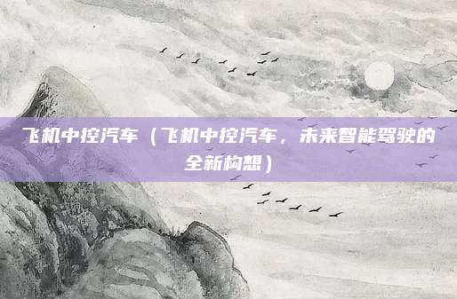 飞机中控汽车（飞机中控汽车，未来智能驾驶的全新构想）