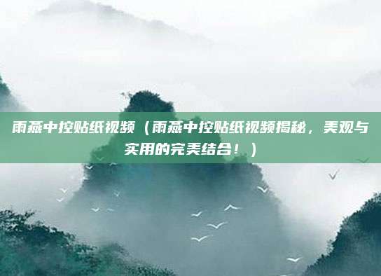 雨燕中控贴纸视频(雨燕中控贴纸视频揭秘,美观与实用的完美结合!)