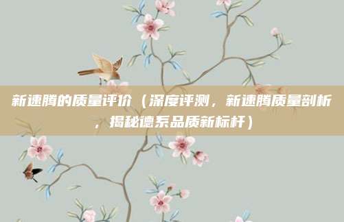 新速腾的质量评价（深度评测，新速腾质量剖析，揭秘德系品质新标杆）