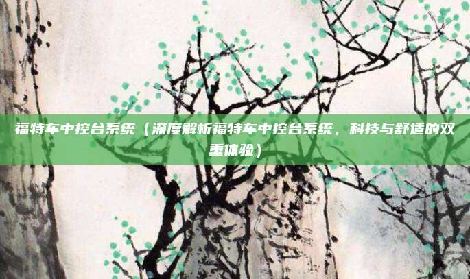 福特车中控台系统(深度解析福特车中控台系统,科技与舒适的双重体验)