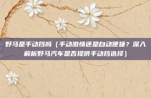野马是手动挡吗(手动激情还是自动便捷?深入解析野马汽车是否提供手动挡选择)