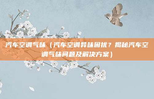 汽车空调气味(汽车空调异味困扰?揭秘汽车空调气味问题及解决方案)