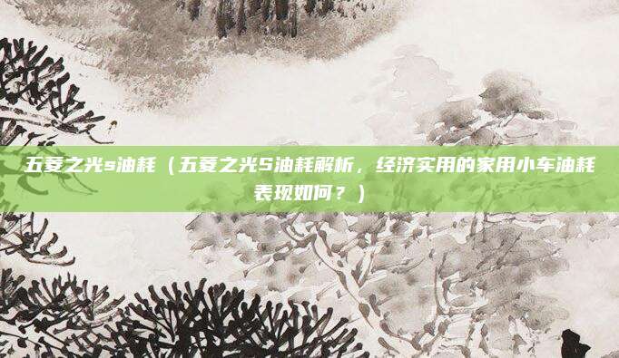 五菱之光s油耗（五菱之光S油耗解析，经济实用的家用小车油耗表现如何？）