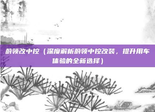 蔚领改中控(深度解析蔚领中控改装,提升用车体验的全新选择)