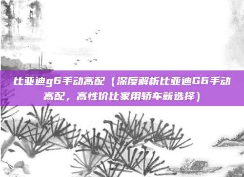 比亚迪g6手动高配(深度解析比亚迪G6手动高配,高性价比家用轿车新选择)