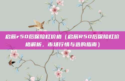 启辰r50后保险杠价格（启辰R50后保险杠价格解析，市场行情与选购指南）