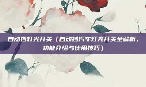 自动挡灯光开关(自动挡汽车灯光开关全解析,功能介绍与使用技巧)