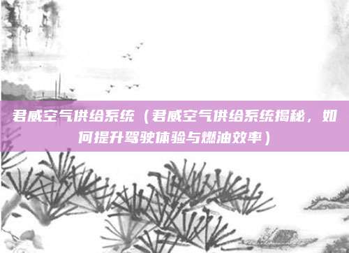 君威空气供给系统（君威空气供给系统揭秘，如何提升驾驶体验与燃油效率）