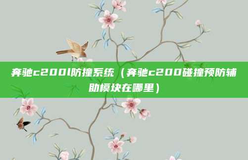奔驰c200l防撞系统(奔驰c200碰撞预防辅助模块在哪里)