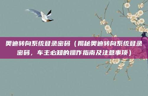 奥迪转向系统登录密码（揭秘奥迪转向系统登录密码，车主必知的操作指南及注意事项）