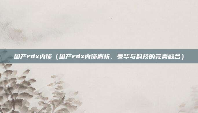 国产rdx内饰（国产rdx内饰解析，豪华与科技的完美融合）