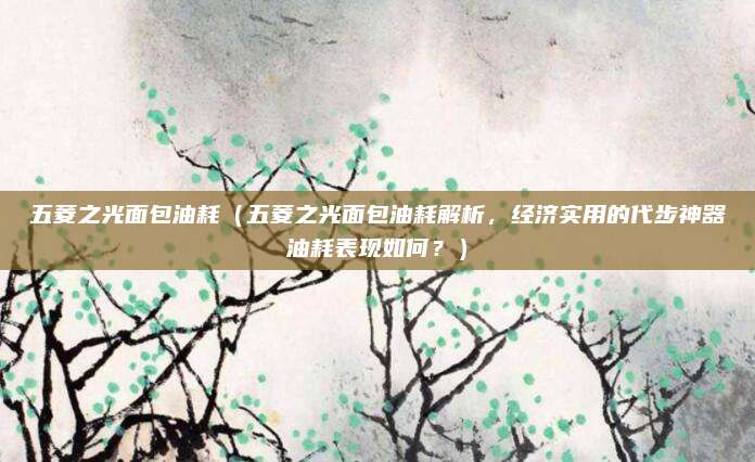 五菱之光面包油耗(五菱之光面包油耗解析,经济实用的代步神器油耗表现如何?)