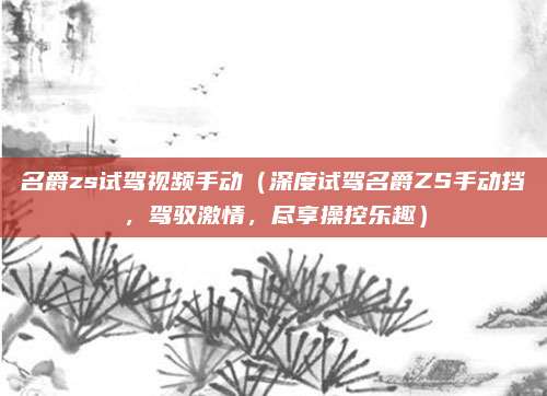 名爵zs试驾视频手动(深度试驾名爵ZS手动挡,驾驭激情,尽享操控乐趣)