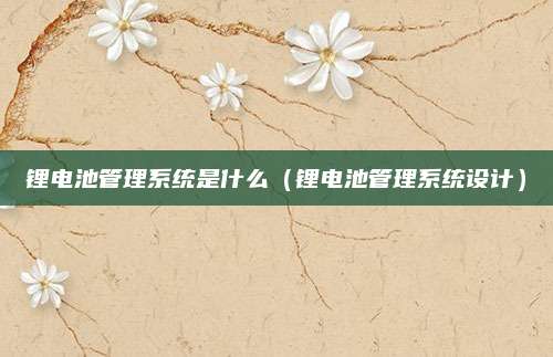 锂电池管理系统是什么(锂电池管理系统设计)