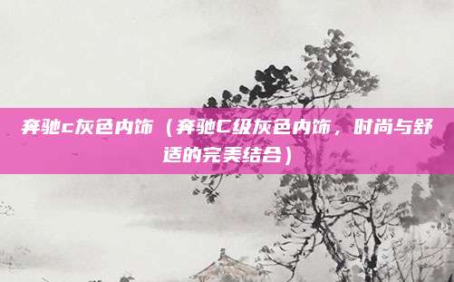奔驰c灰色内饰(奔驰C级灰色内饰,时尚与舒适的完美结合)