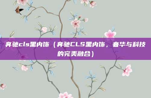 奔驰cls黑内饰(奔驰CLS黑内饰,奢华与科技的完美融合)
