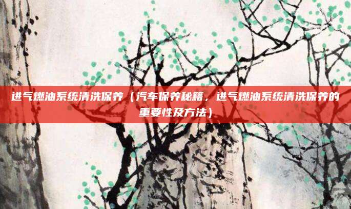 进气燃油系统清洗保养(汽车保养秘籍,进气燃油系统清洗保养的重要性及方法)
