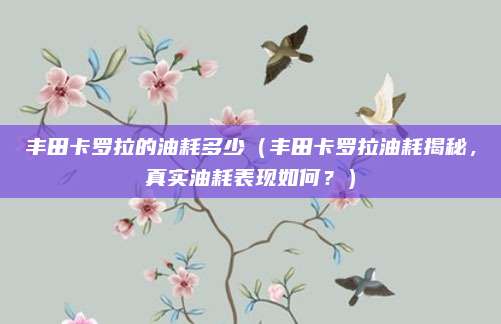 丰田卡罗拉的油耗多少(丰田卡罗拉油耗揭秘,真实油耗表现如何?)