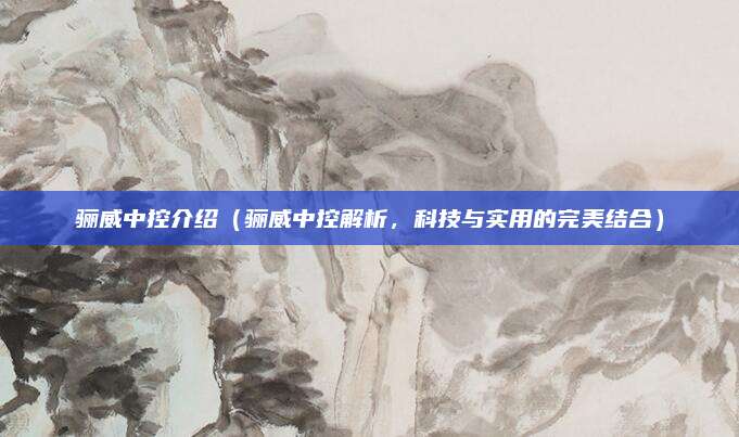 骊威中控介绍（骊威中控解析，科技与实用的完美结合）