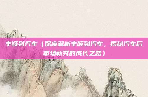 丰顺到汽车(深度解析丰顺到汽车,揭秘汽车后市场新秀的成长之路)