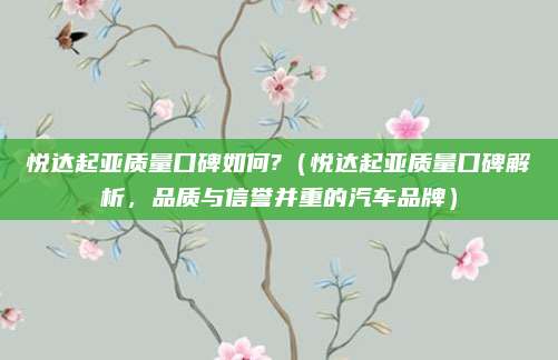 悦达起亚质量口碑如何?（悦达起亚质量口碑解析，品质与信誉并重的汽车品牌）