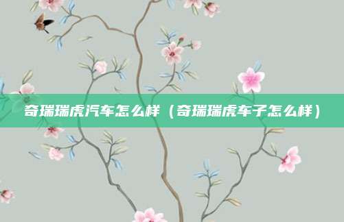 奇瑞瑞虎汽车怎么样(奇瑞瑞虎车子怎么样)