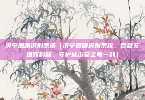 济宁鹰眼识别系统(济宁鹰眼识别系统,智慧交通新利器,守护城市安全每一刻)