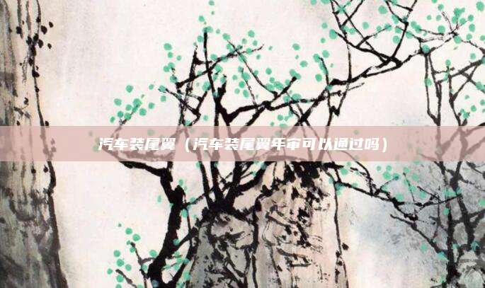 汽车装尾翼(汽车装尾翼年审可以通过吗)