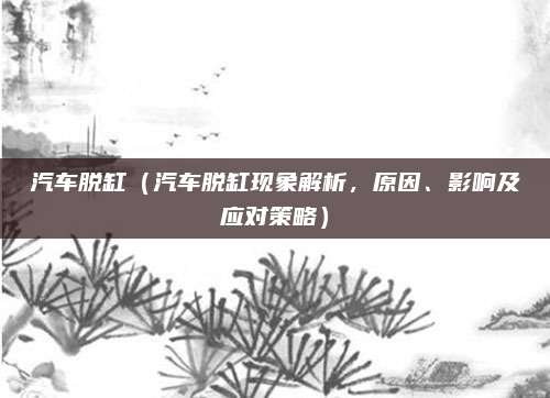 汽车脱缸(汽车脱缸现象解析,原因、影响及应对策略)