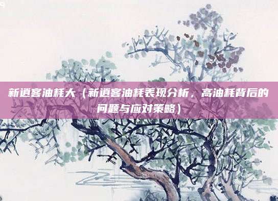新逍客油耗大（新逍客油耗表现分析，高油耗背后的问题与应对策略）