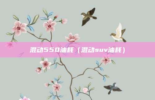 混动550油耗(混动suv油耗)