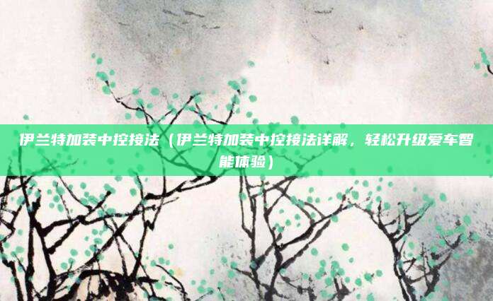 伊兰特加装中控接法(伊兰特加装中控接法详解,轻松升级爱车智能体验)