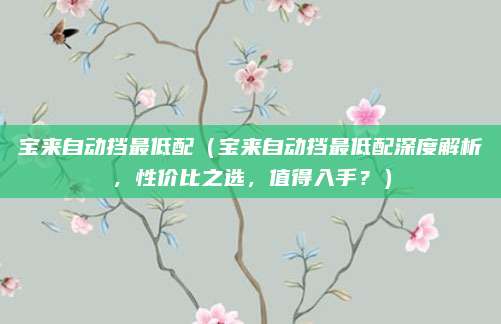 宝来自动挡最低配（宝来自动挡最低配深度解析，性价比之选，值得入手？）