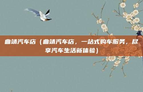 曲靖汽车店（曲靖汽车店，一站式购车服务，尽享汽车生活新体验）