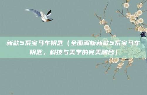 新款5系宝马车钥匙（全面解析新款5系宝马车钥匙，科技与美学的完美融合）