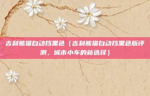 吉利熊猫自动挡黑色（吉利熊猫自动挡黑色版评测，城市小车的新选择）