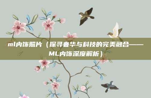 ml内饰照片(探寻奢华与科技的完美融合——ML内饰深度解析)