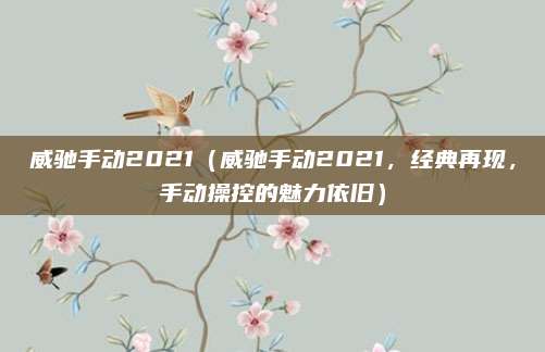 威驰手动2021(威驰手动2021,经典再现,手动操控的魅力依旧)