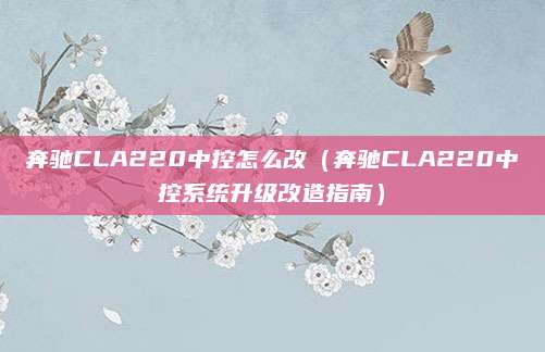奔驰CLA220中控怎么改(奔驰CLA220中控系统升级改造指南)