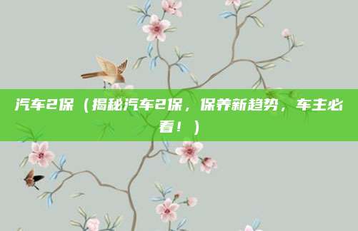汽车2保(揭秘汽车2保,保养新趋势,车主必看!)