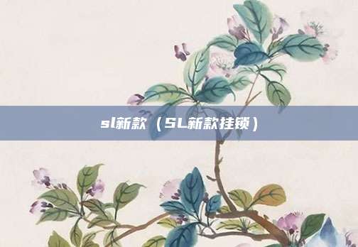 sl新款(SL新款挂锁)