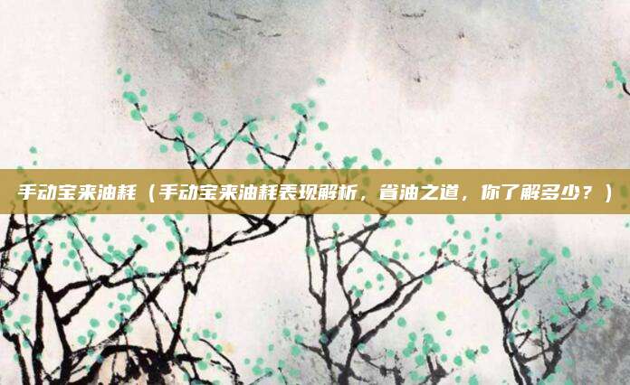 手动宝来油耗(手动宝来油耗表现解析,省油之道,你了解多少?)
