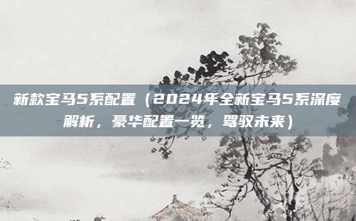 新款宝马5系配置(2024年全新宝马5系深度解析,豪华配置一览,驾驭未来)