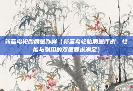 新蓝鸟轮胎质量咋样（新蓝鸟轮胎质量评测，性能与耐用的双重要求满足）