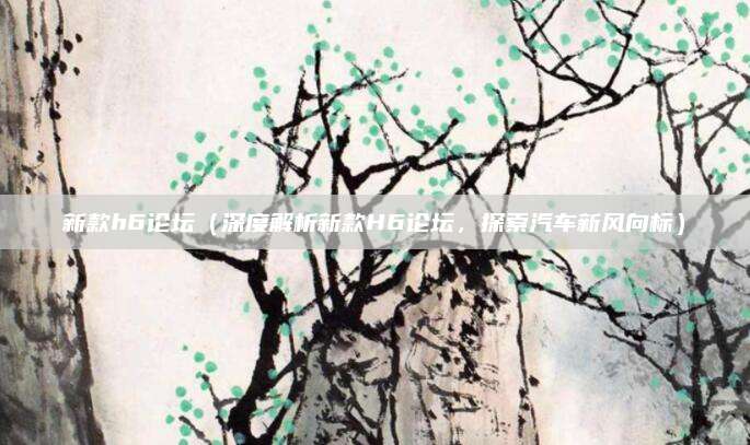 新款h6论坛（深度解析新款H6论坛，探索汽车新风向标）